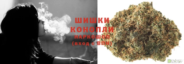 ГАЛЛЮЦИНОГЕННЫЕ ГРИБЫ Аркадак