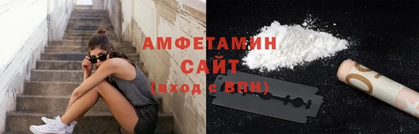ГАЛЛЮЦИНОГЕННЫЕ ГРИБЫ Аркадак
