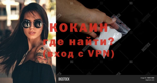 ГАЛЛЮЦИНОГЕННЫЕ ГРИБЫ Липки