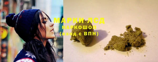 ГАЛЛЮЦИНОГЕННЫЕ ГРИБЫ Аркадак