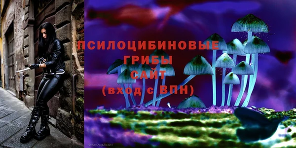 ГАЛЛЮЦИНОГЕННЫЕ ГРИБЫ Аркадак