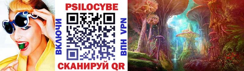Псилоцибиновые грибы Cubensis Моршанск